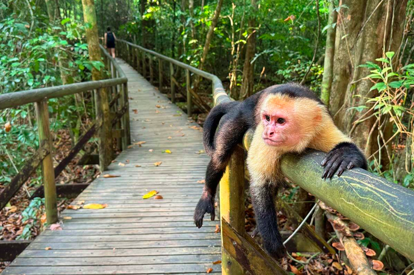 Costa Rica National Parks